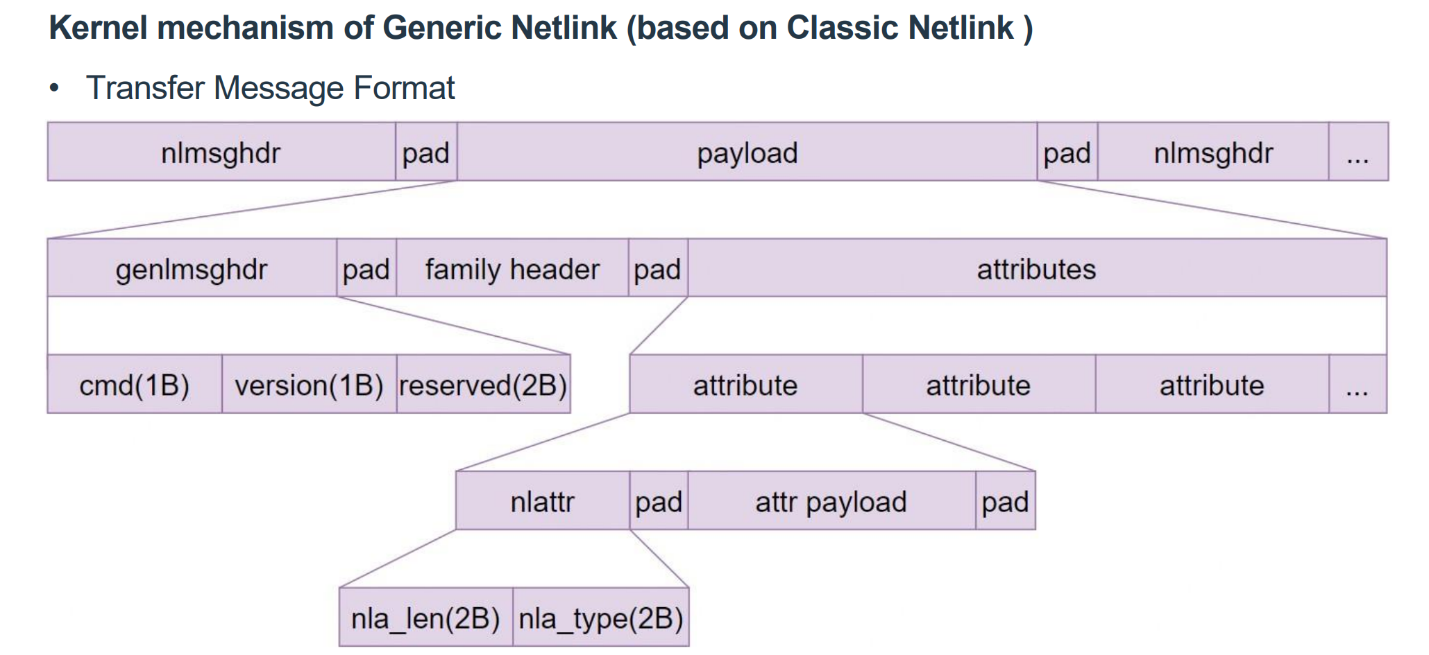 nipaste_2025-02-10_20-53-4