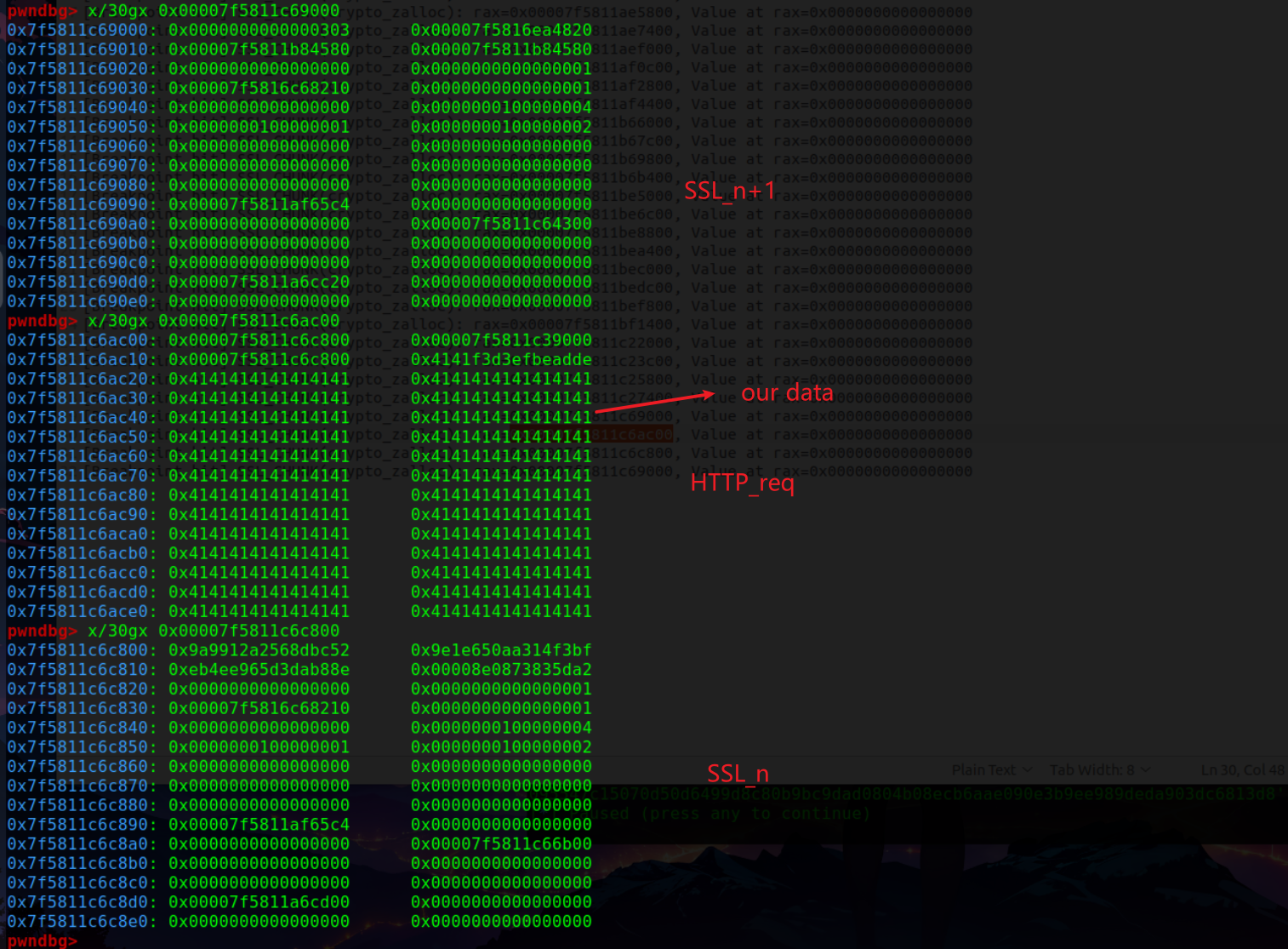 nipaste_2025-03-05_03-08-1